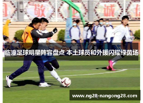 临潼足球明星阵容盘点 本土球员和外援闪耀绿茵场